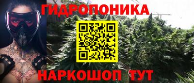 индика Заводоуковск