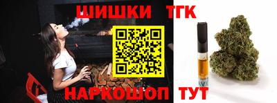 индика Заводоуковск