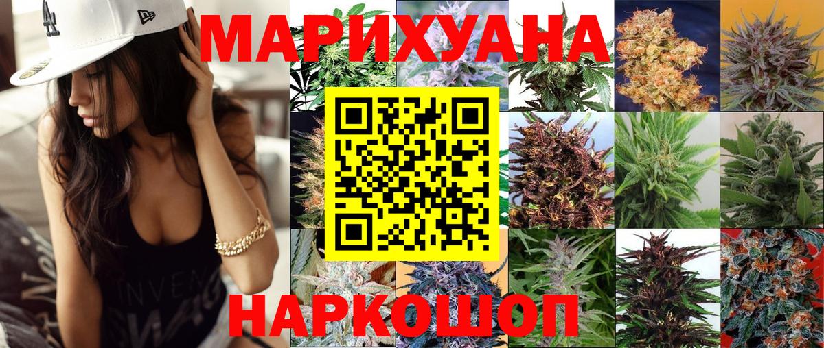 Канабис OG Kush Кунгур